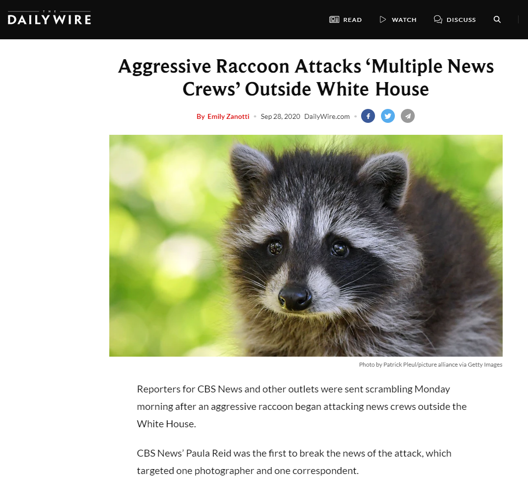 LOLCoon.png