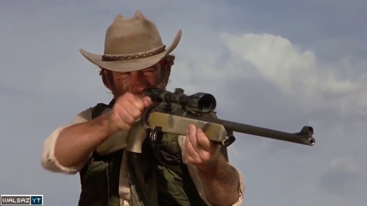 lone wolf steyr 2.jpg