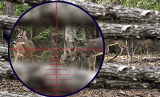 Loophole-Looking-out-a-blind_Hunting.png