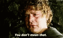 lord-of-the-rings-you-dont-mean-that.gif