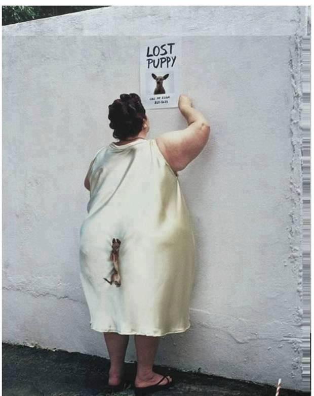 lost dog.jpg