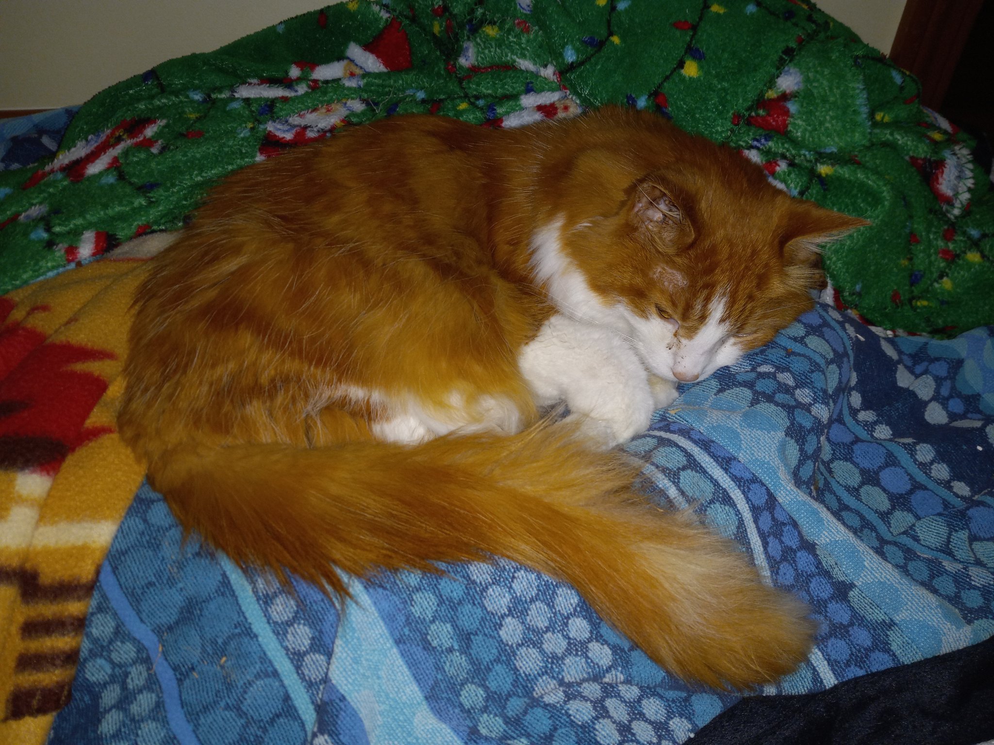 Lucky's last day Nov 29 2121.jpg