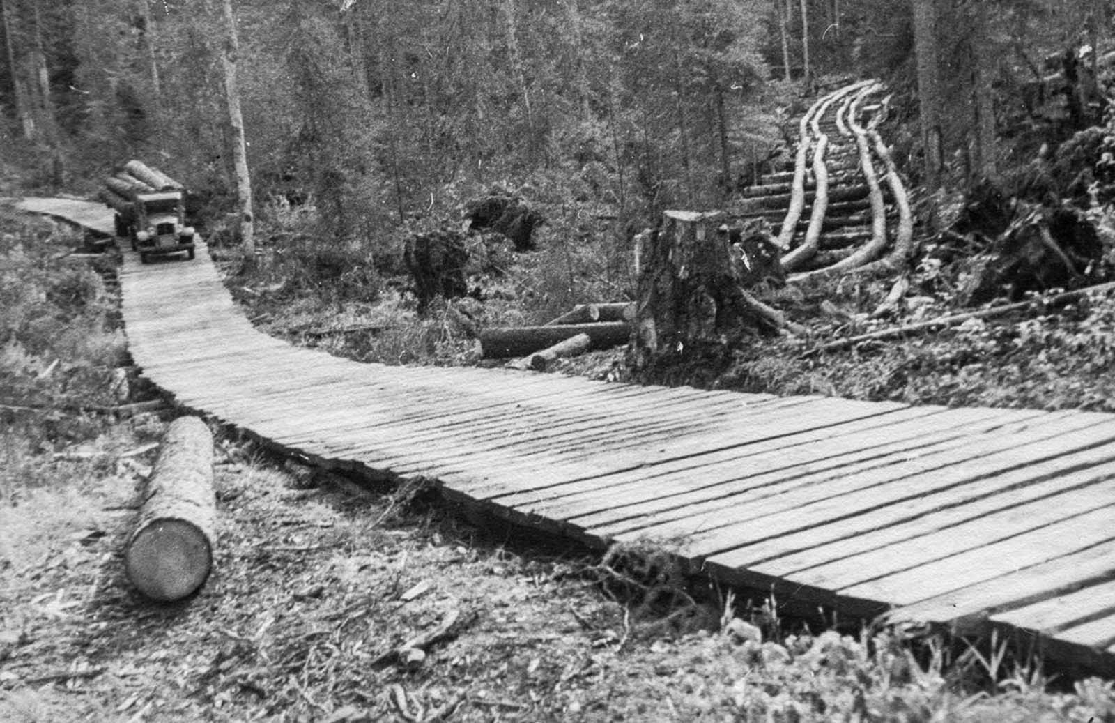 lumberjacks_british_columbia (8).jpeg
