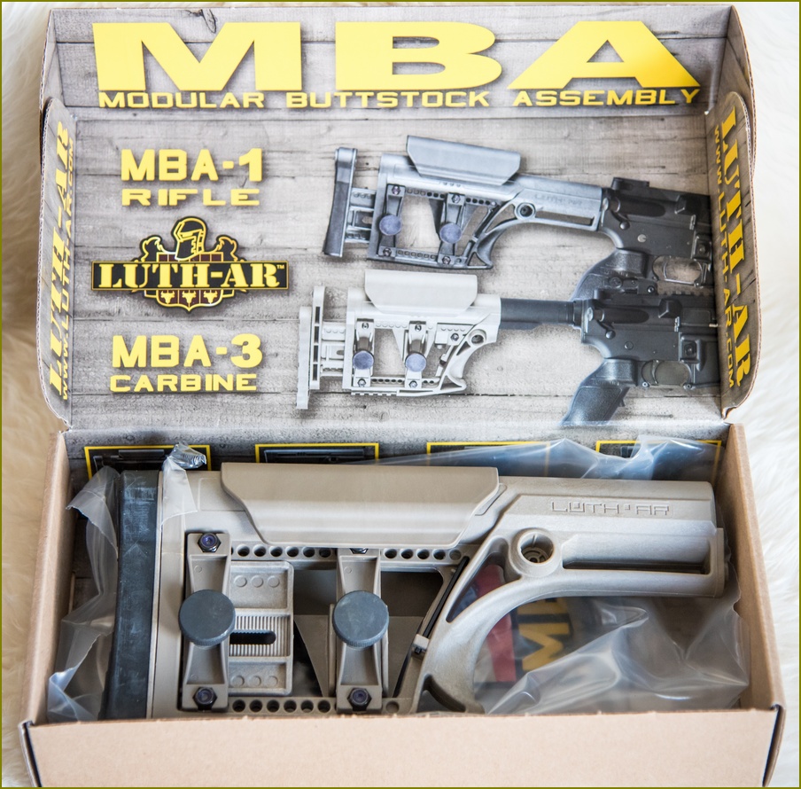 LUTH-AR_MBA-1_FDE_001.jpg
