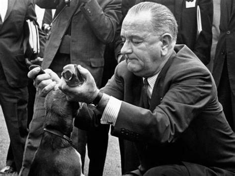lyndon_johnson_beagle_ears.jpg