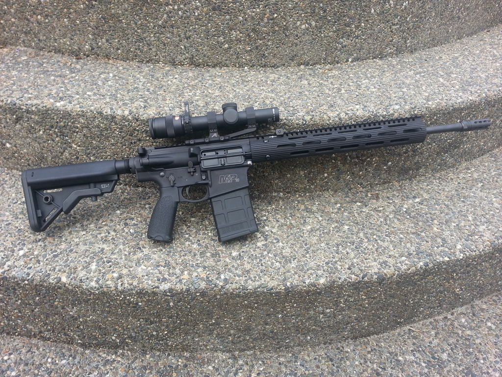 M&P 10.jpg