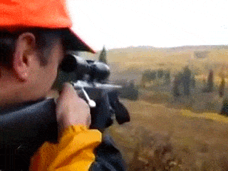 m1.gif