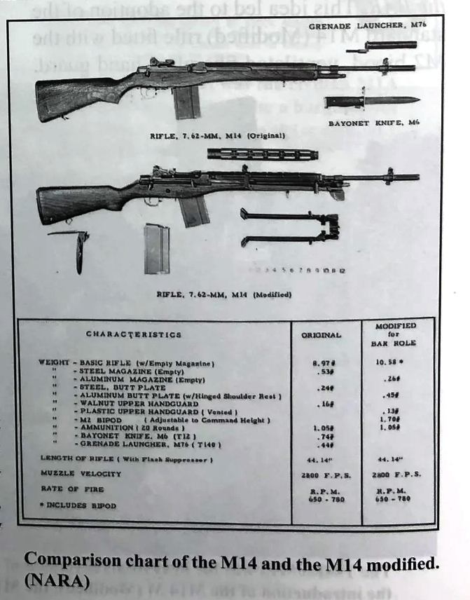 M14_M_Iannamico1.png
