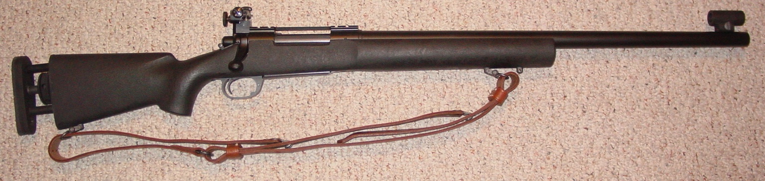 M24 Iron Sights.JPG