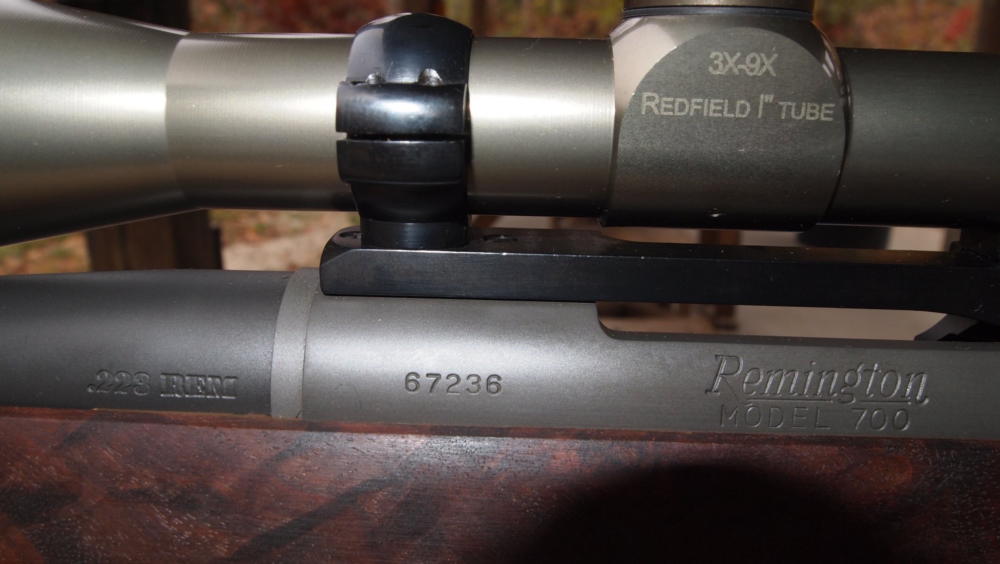 m402232.jpg