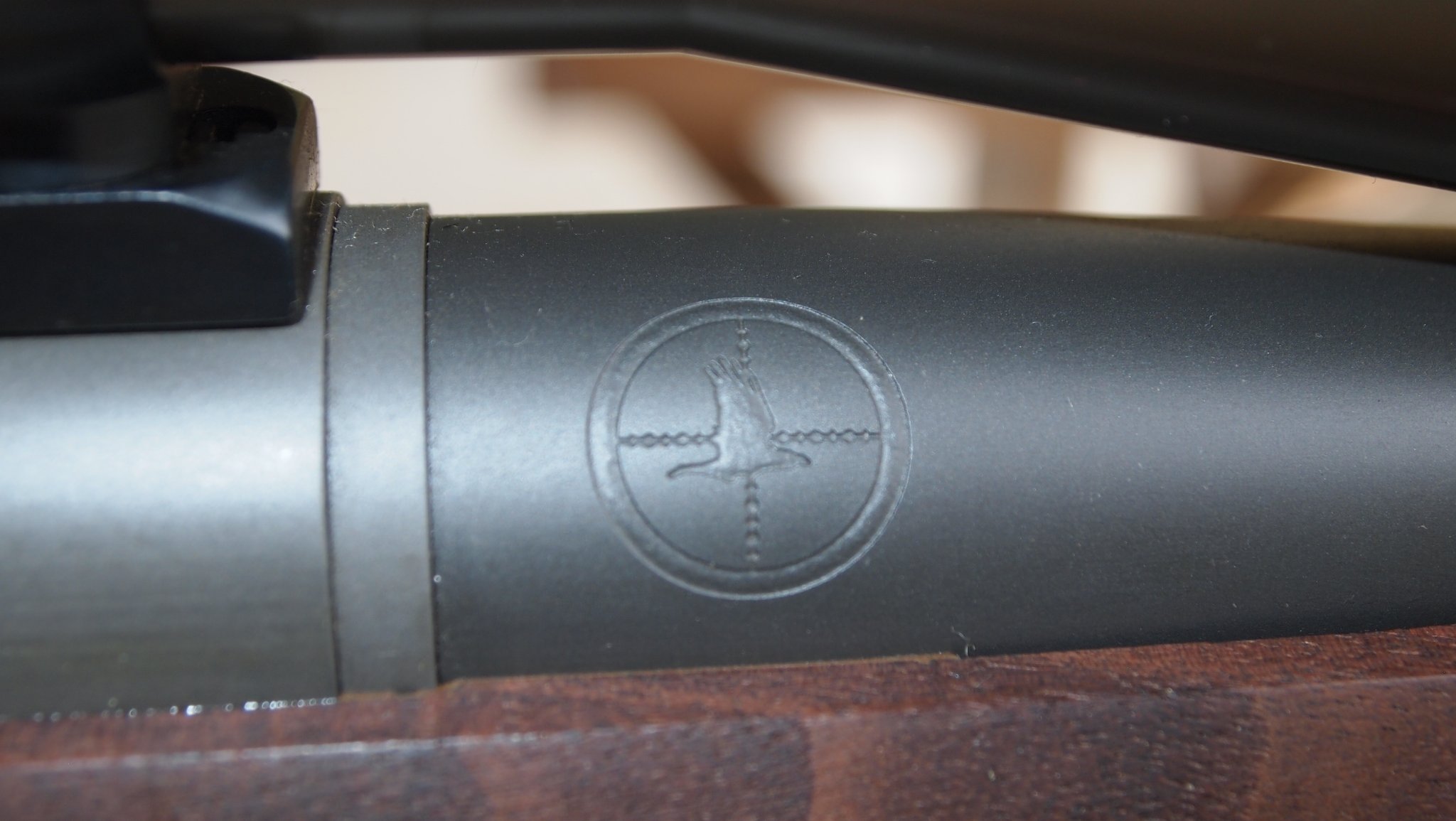 m402233.jpg