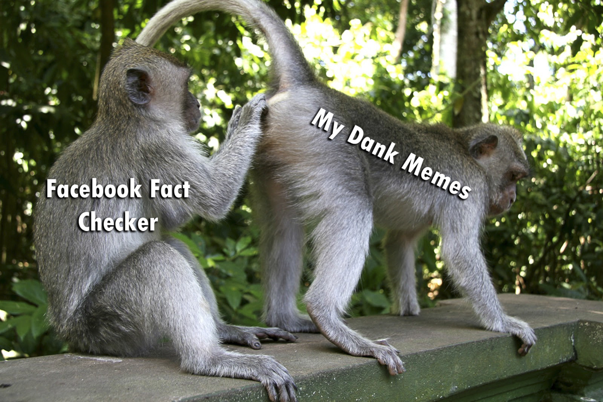 m8.jpg
