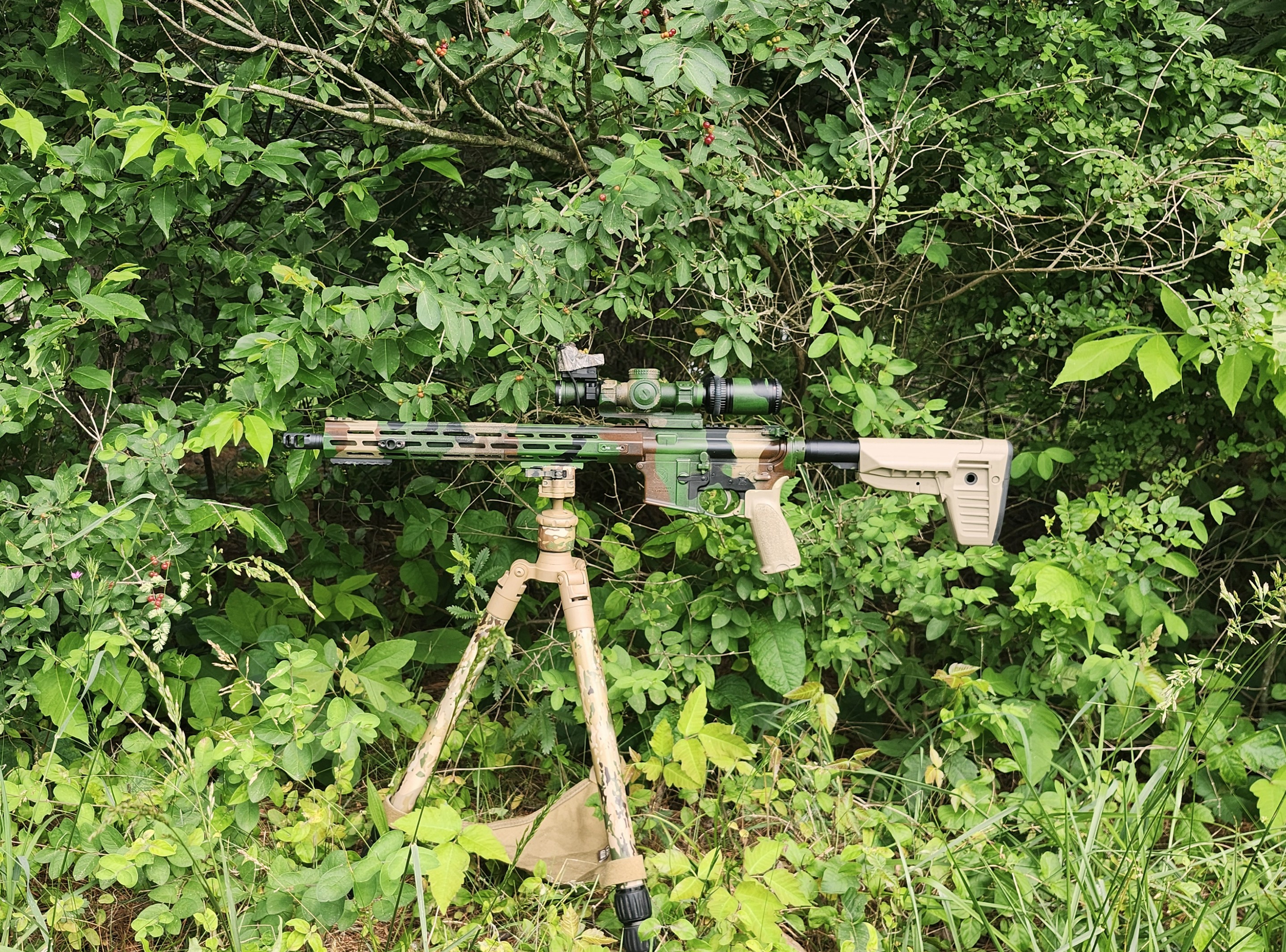 M81 Camo Woods Bckgrnd.jpg