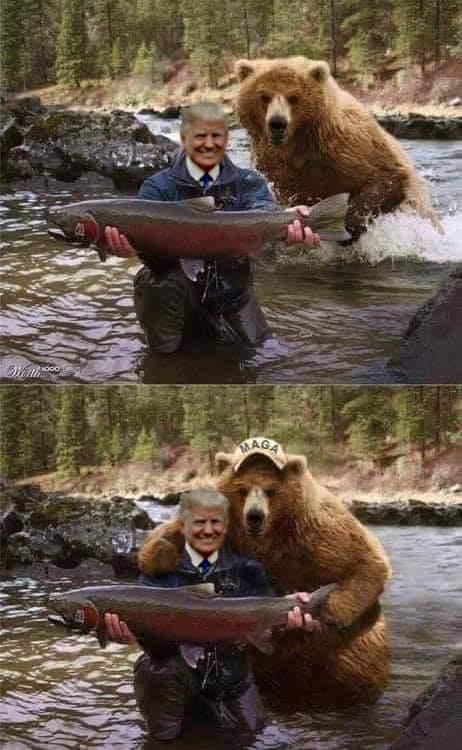 MAGA.jpg