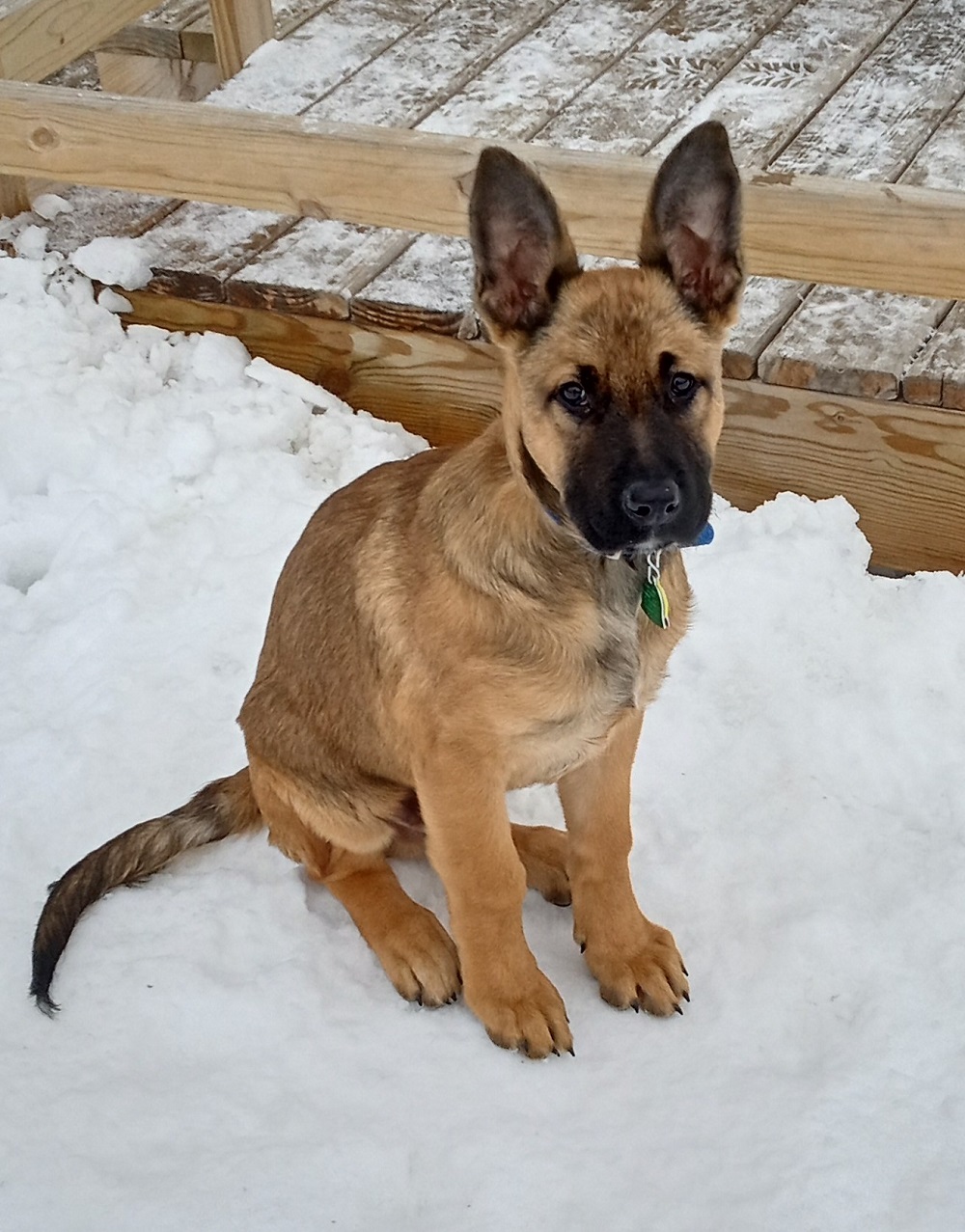 Magua 14 weeks 2.jpg