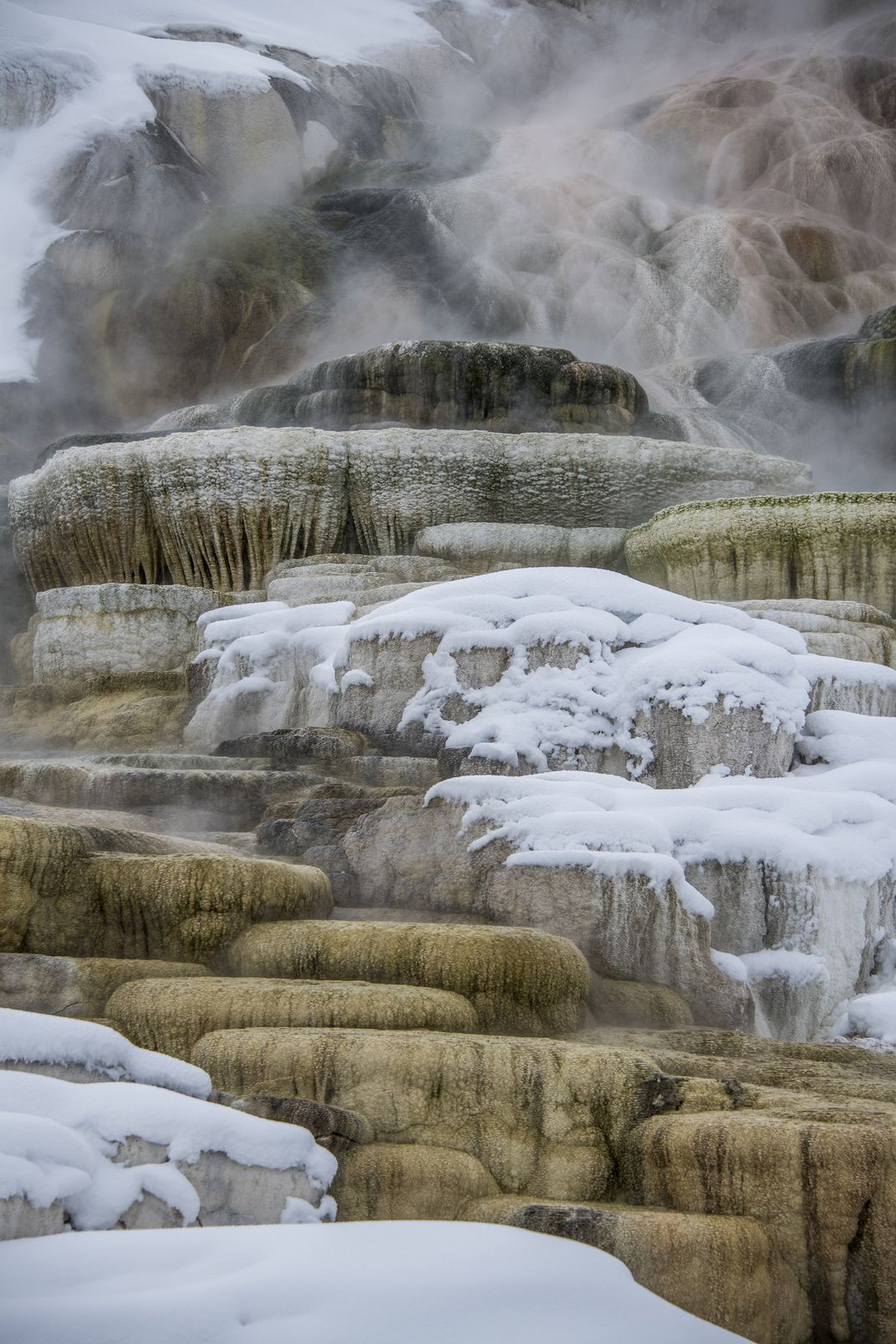 mammoth springs.jpg