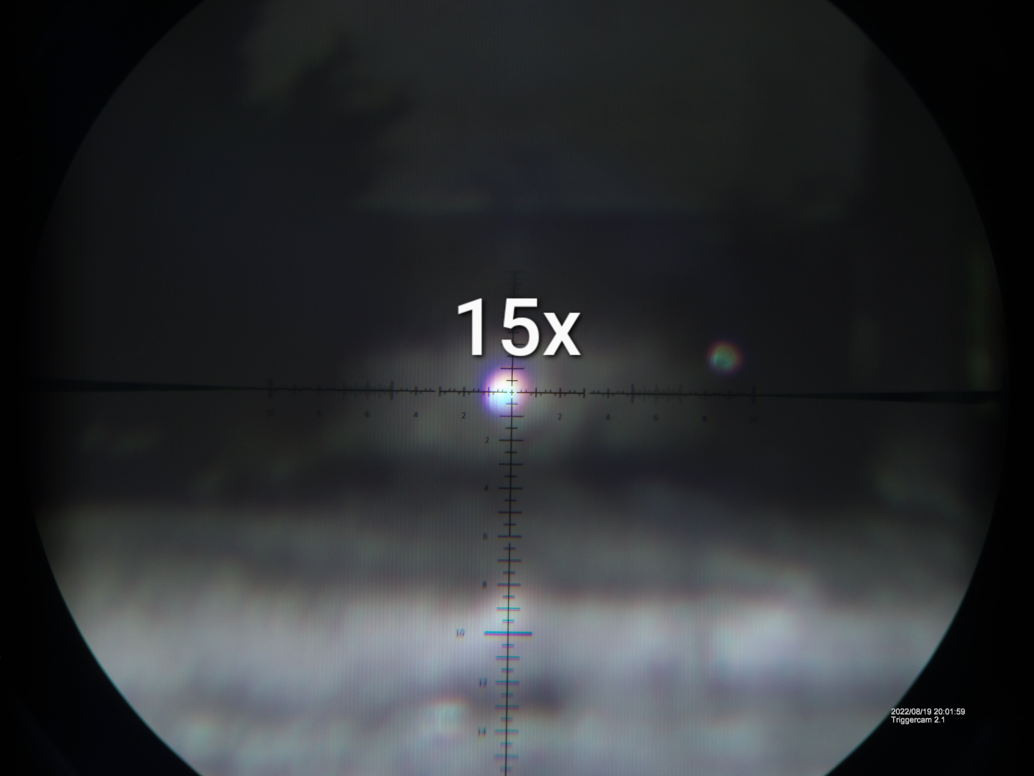 markup_20020100.JPG.png
