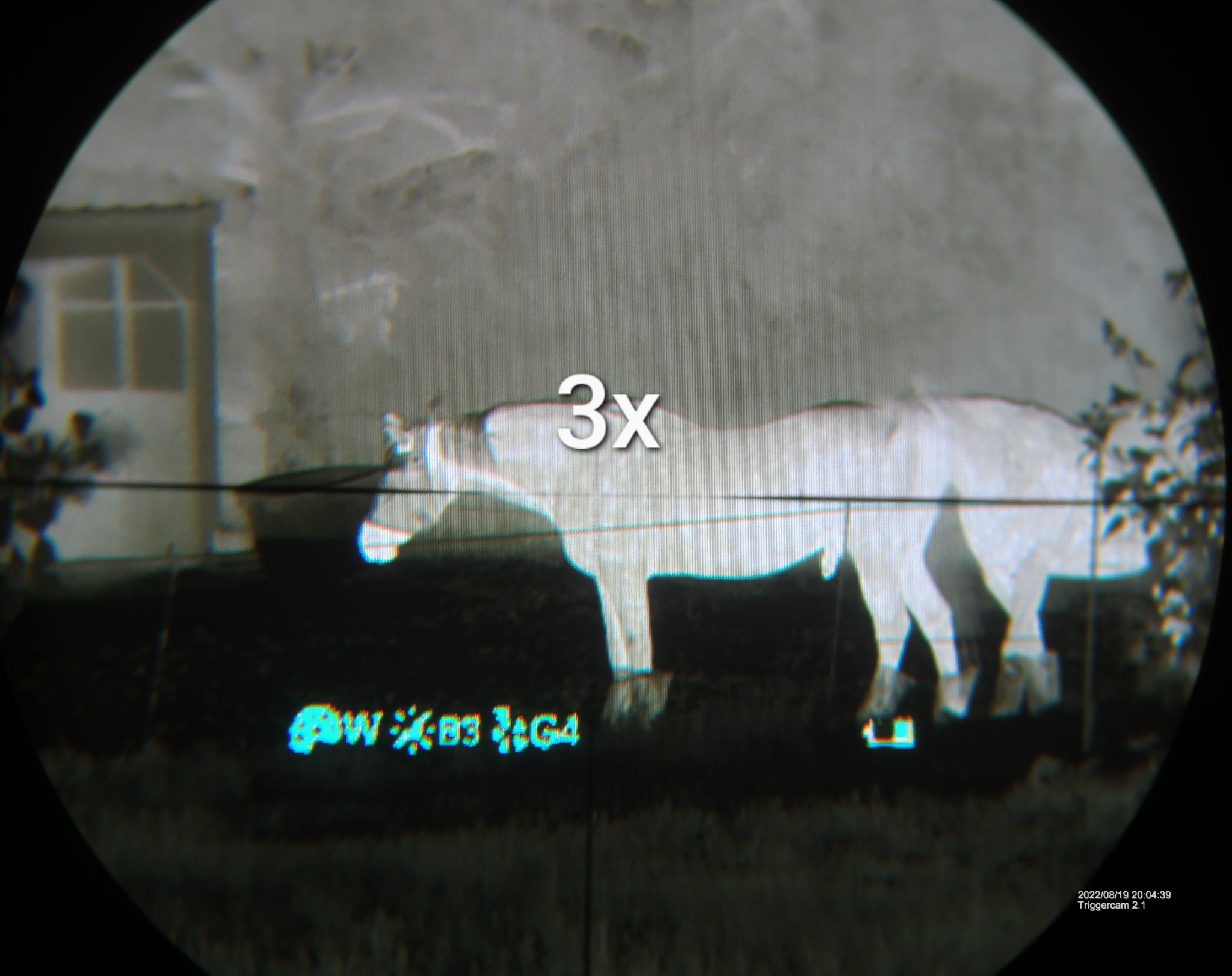 markup_20043900.JPG (1).png