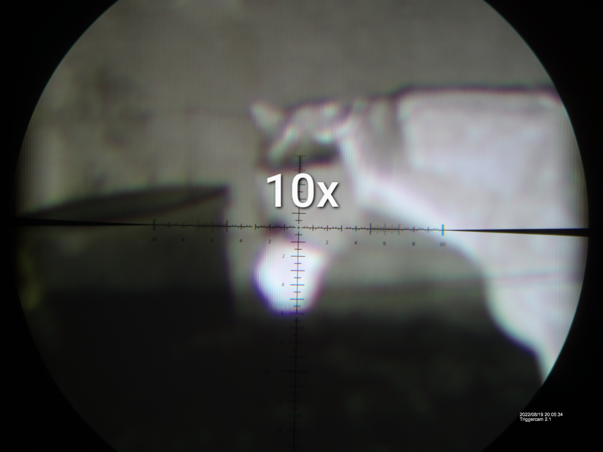 markup_20053500.JPG.png
