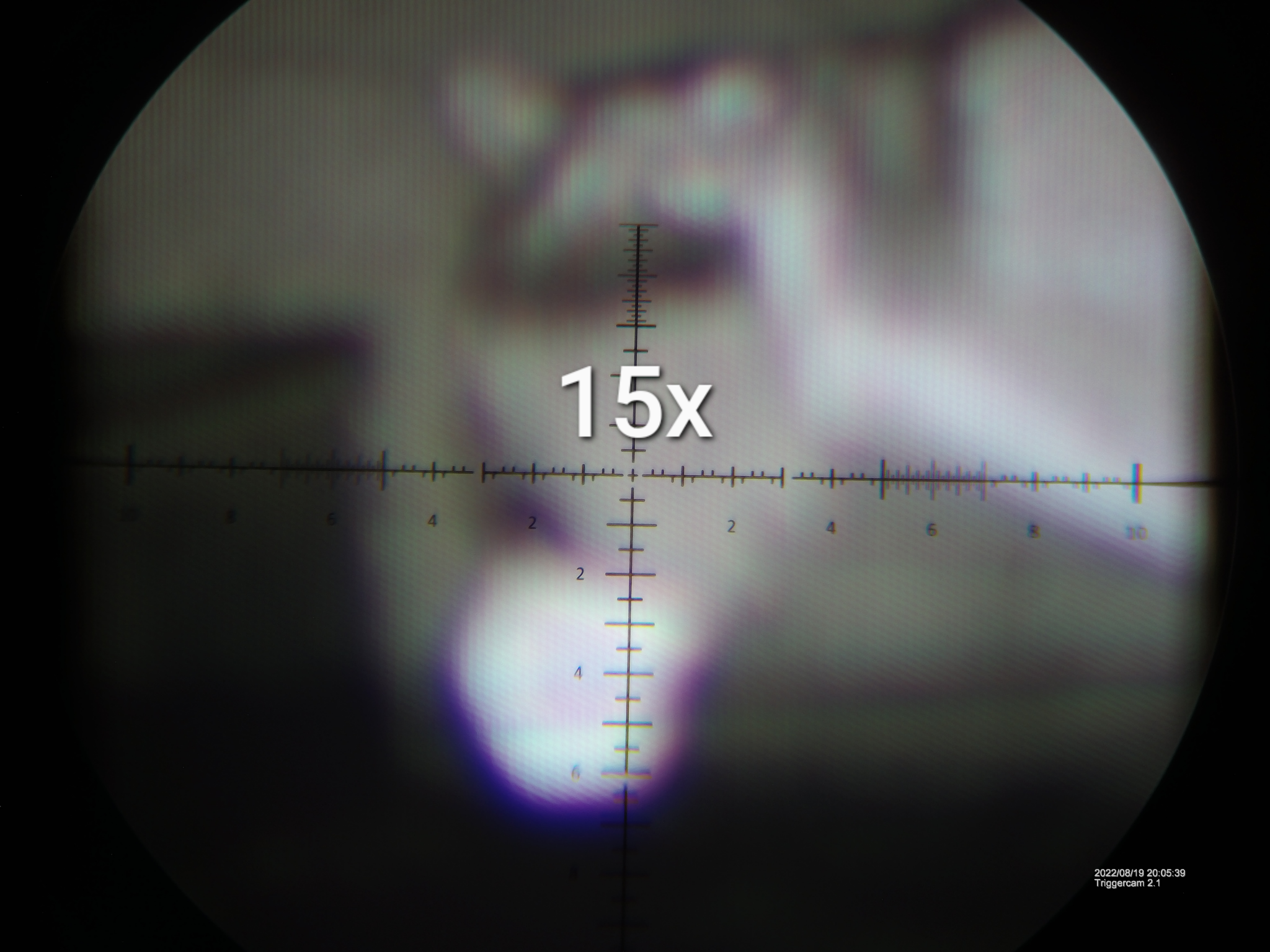 markup_20054100.JPG.png