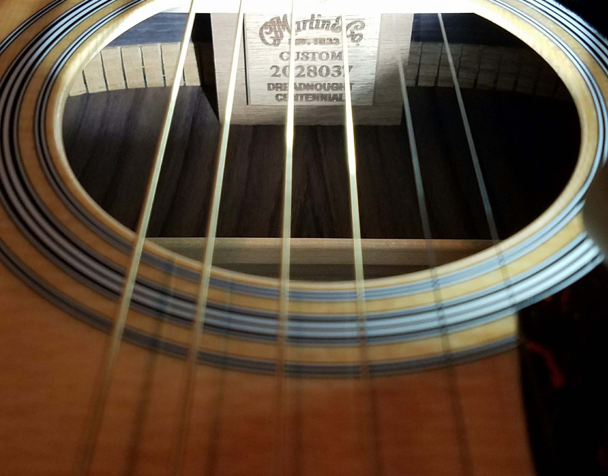 martin.jpg