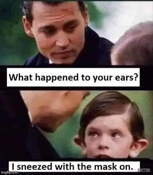 mask ears.jpeg