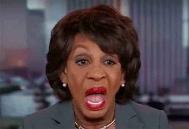 maxine_2.jpg