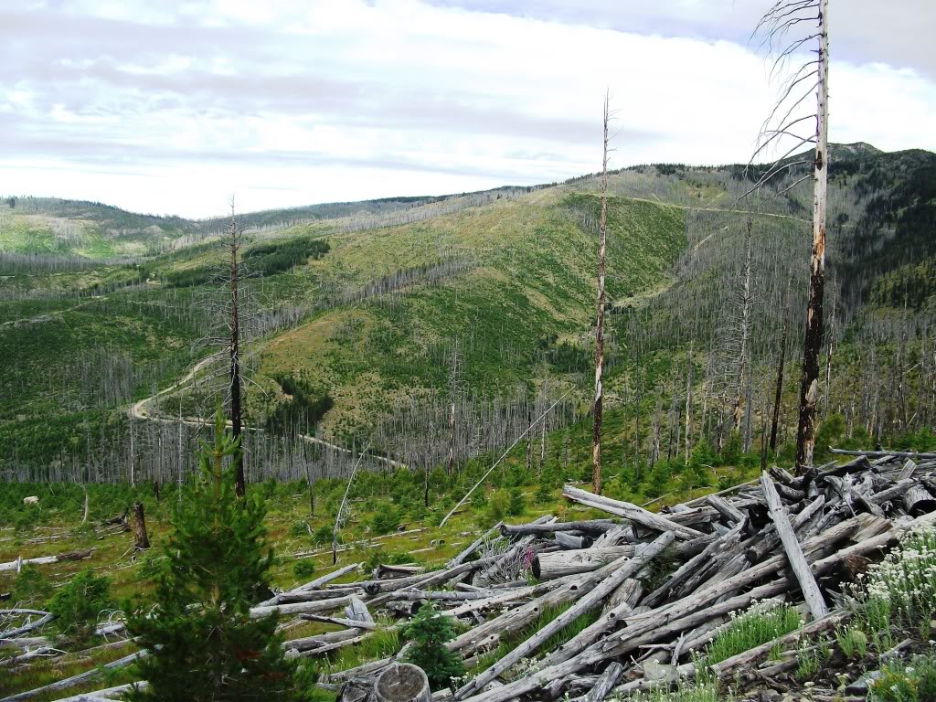 Mazama 1500yd.JPG