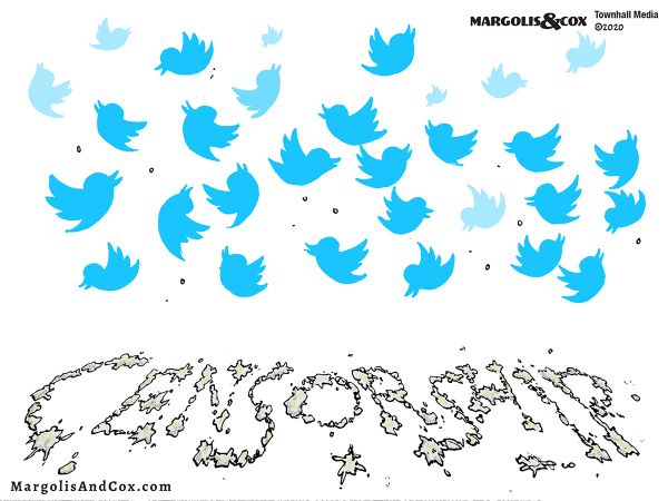 MC-twitter-censorship-web20201016124233.jpg