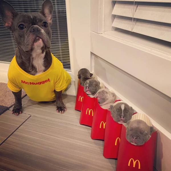 mcpups.jpeg