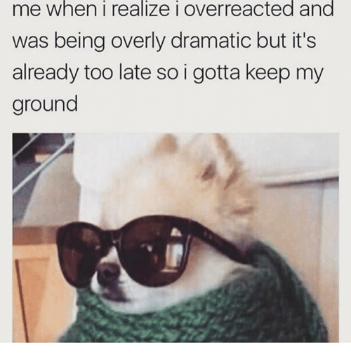 me-when-i-realize-i-overreacted-and-was-being-overly-41524185.png