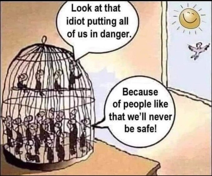 media-7.jpg