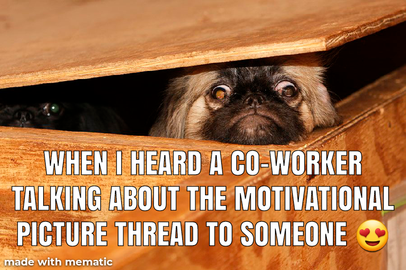 Mematic_meme_20201129_234524.png