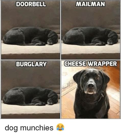 MEME 103.jpg
