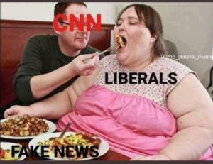 Meme-CNN-Liberals-Fake-News-300x231.jpg