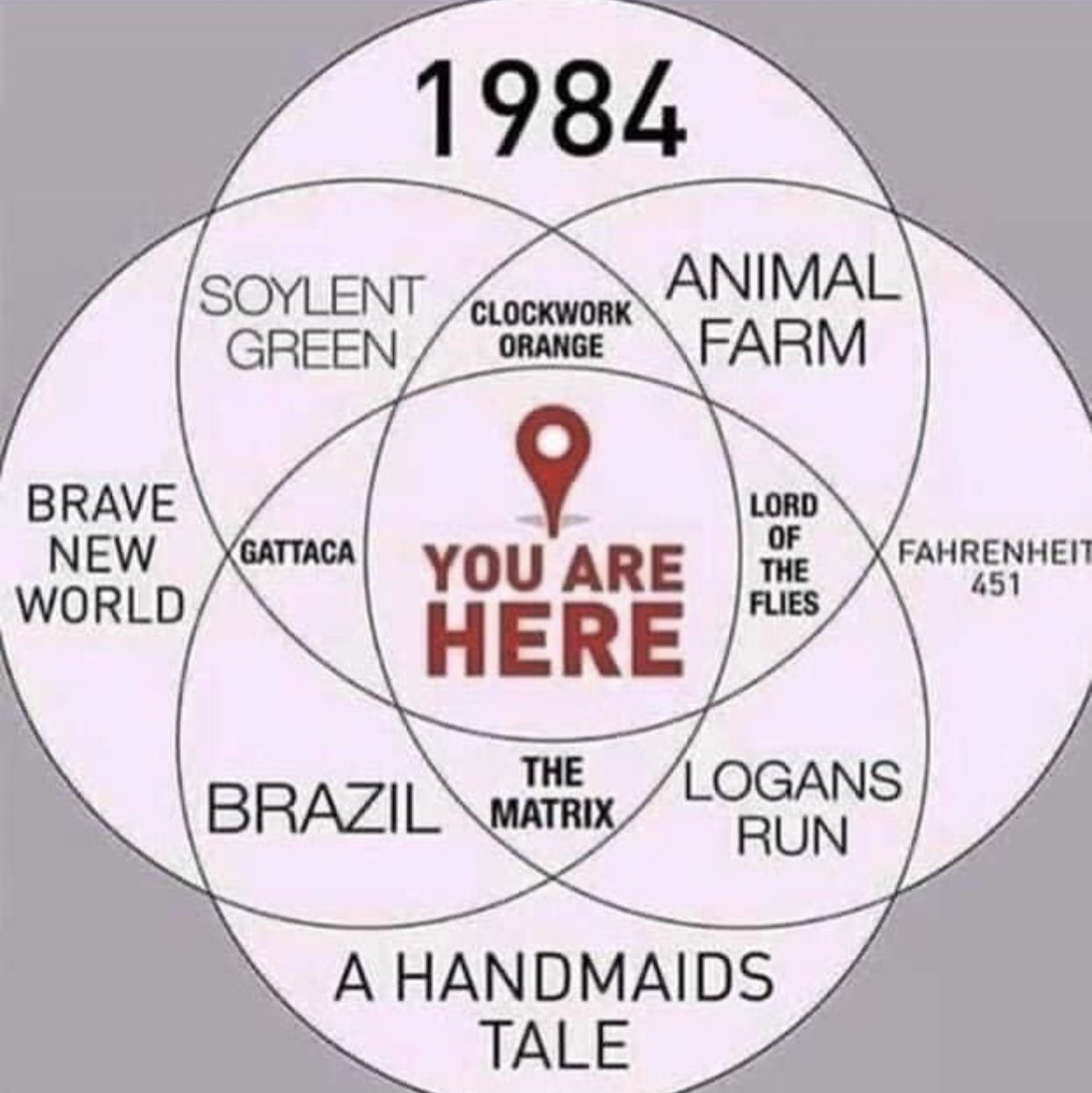 meme.jpg