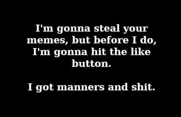 meme-thief.JPG