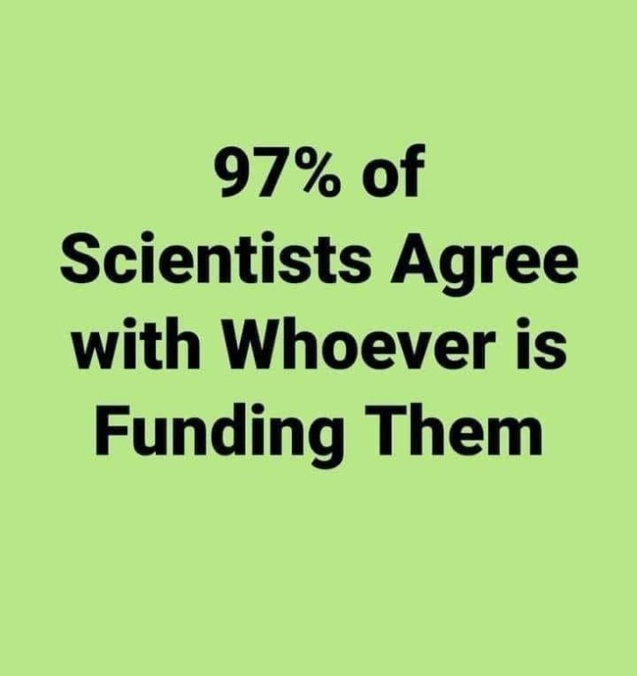 memefunding.thumb.jpg.d8f36c873678bec579d29e44176dab29.jpg
