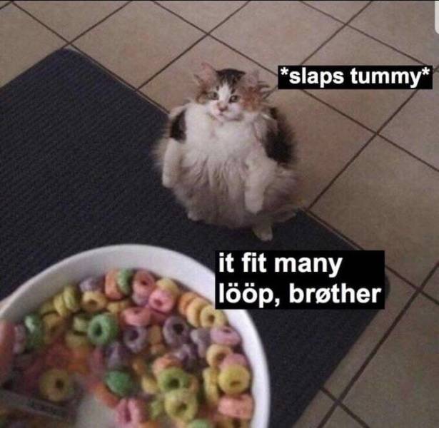 memes_22.jpg