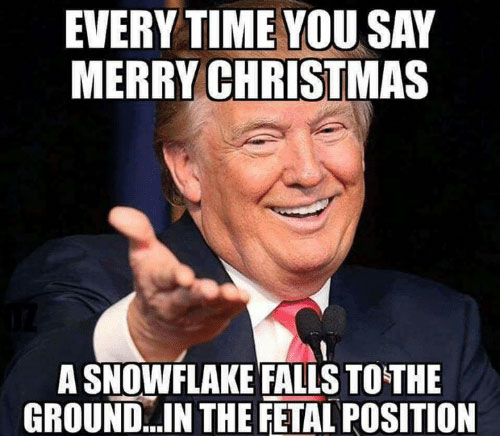 Merry-Christmas-Memes_Layer 1.jpg