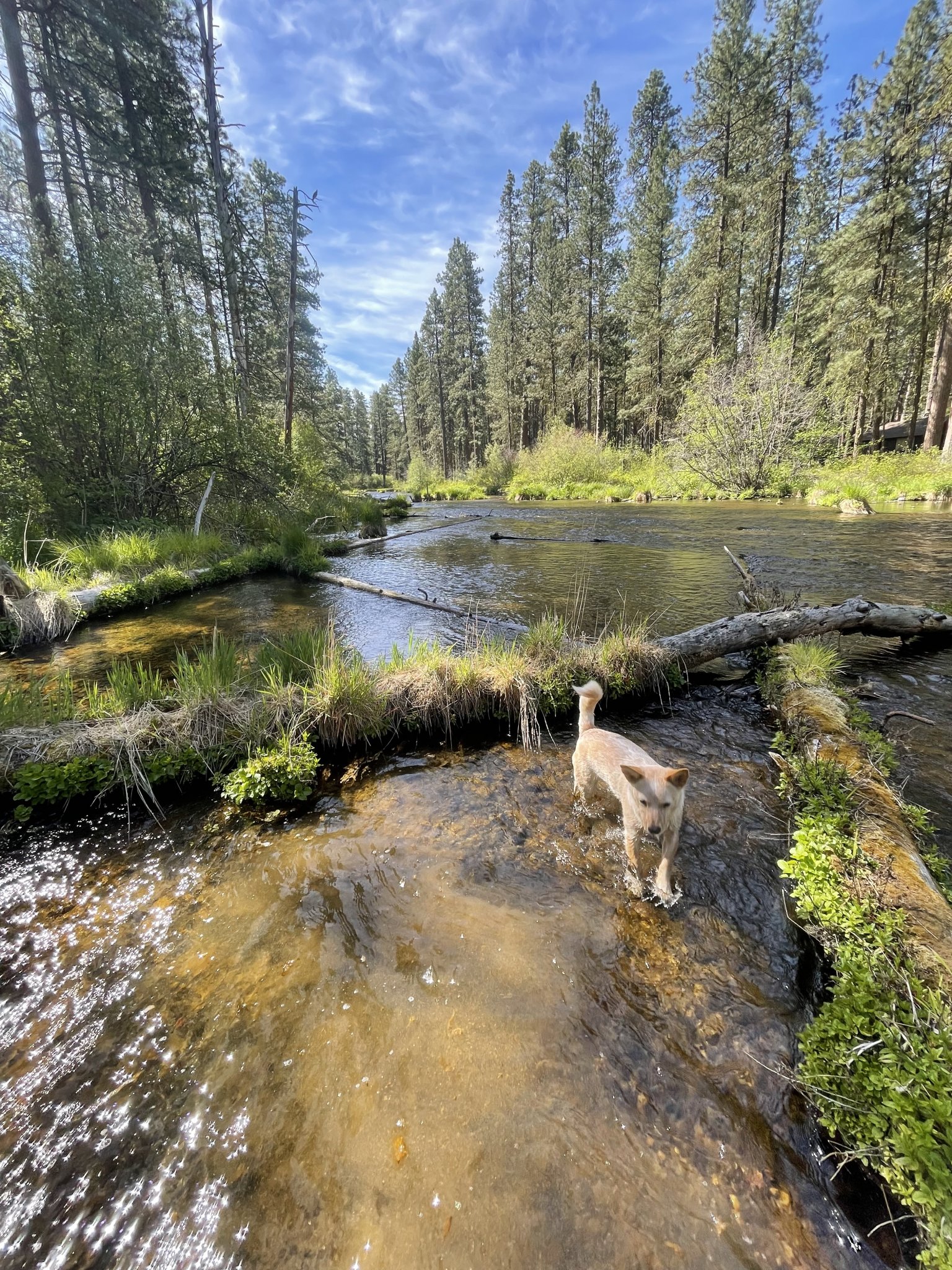 Metolius.jpg