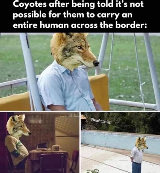 mfr hilarious.jpg