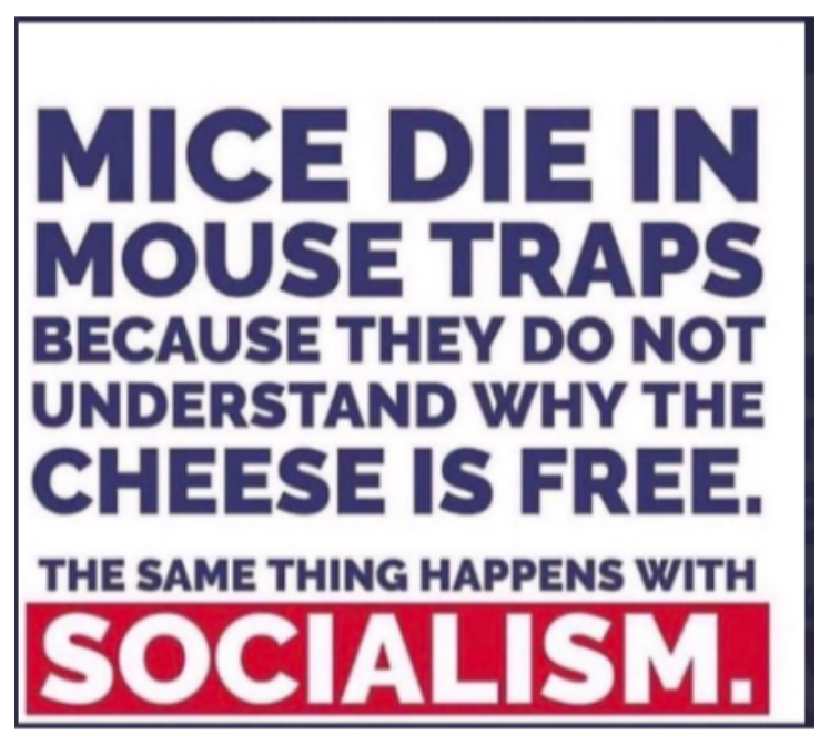 Mice.png