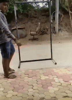 mirror.gif