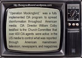 Mocking bird.jpg