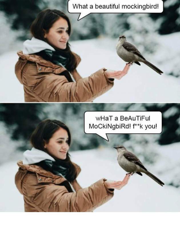 mocking.jpeg