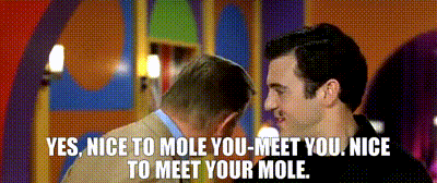 Mole.gif
