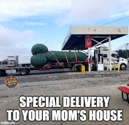 momshouse2a.jpg