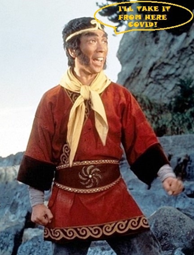 monkey magic.jpg