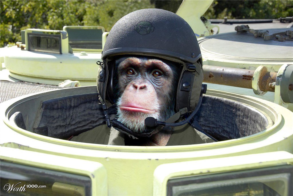 monkey tank 1.jpg